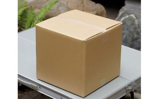 木炭コンロ 8.5号（アミ付） H023-047