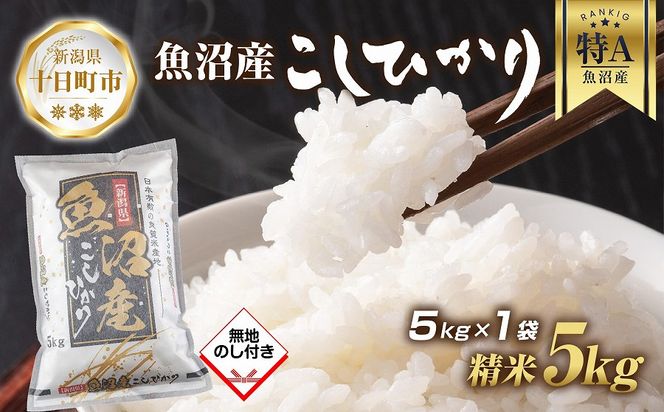 令和5年産 新米予約】 無地熨斗 魚沼産 コシヒカリ 5kg 新米 農家の