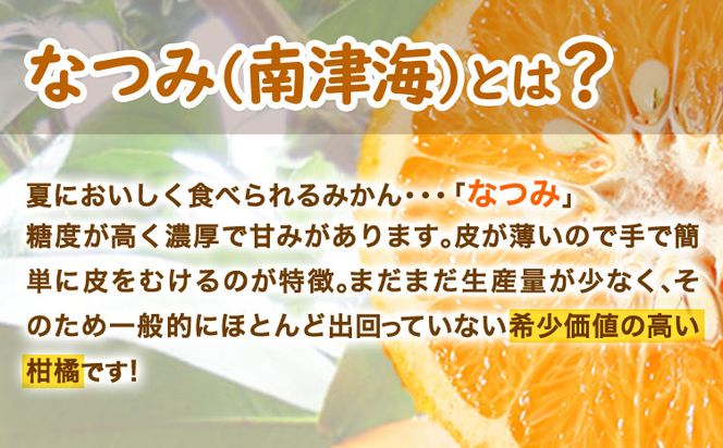 ＜先行予約＞初夏のみかん なつみ約5kg 株式会社 魚鶴商店《2025年4中旬-5上旬頃出荷》 和歌山県 日高町 みかん なつみ 南津海 柑橘 果物 フルーツ 送料無料---wsh_utsntm_g4_22_14000_5kg---