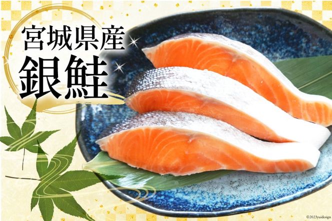 y{錧Csz 󂠂 {錧Y n  ؐg 2kg [{铌m {錧 Cs 20563343]  CN  Y   Ì TP ؐg VP ؂g Ⓚ  ٓ x ƎҎx T[  ؂g