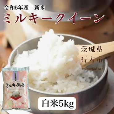 DD-9ミルキークイーン【5kg】
