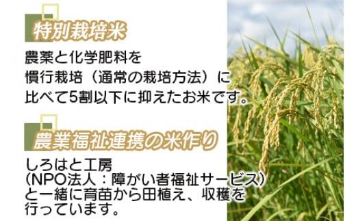  ＜令和5年度 特別栽培米「粋」キヌムスメ 10kg＞ ※入金確認後、翌月末迄に順次出荷します。【c861_kh_x4】