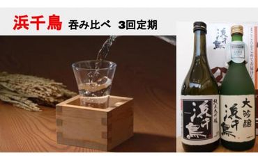【定期便3回】大槌の日本酒 吞み比べ【0tsuchi01149】