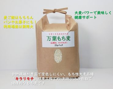 0664 万葉の里 鳥取市国府町産「万葉もち麦」2kg