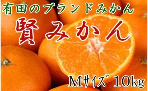 [秀品]有田のブランド「賢みかん」10kg(Mサイズ)【2024年11月中旬頃より順次発送】BZ012