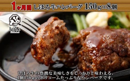 定期便 北海道 しほろ ハンバーグ 全4回 しほろ牛 道の駅 ピア21しほろ 北秀牛 ビーフ ハンバーグステーキ beef 牛肉 赤身肉 国産牛 肉 セット 加工品 おかず 惣菜 お惣菜 国産 冷凍 詰合せ お取り寄せ 送料無料 十勝 士幌町【X23a】