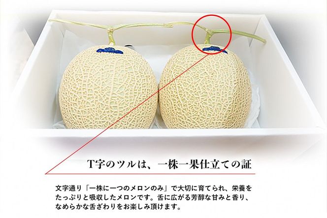 糖度15度以上！京丹後砂丘メロン2玉入り　（2Ｌサイズ以上）／北畿水産(2026年6月下旬～発送) 国産 2玉 フルーツ 果物 メロン 砂丘メロン 甘い 糖度 京都 ふるさと納税 フルーツ ふるーつ くだもの ご当地メロン めろん 生産者応援 農家応援　HK00275