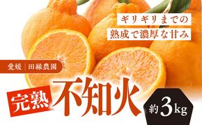 【先行予約】【数量限定】田縁農園の完熟不知火（しらぬい）3kg ｜ 柑橘 みかん ミカン フルーツ 果物 でこぽん デコポンと同品種 愛媛 ※離島への配送不可 ※2025年3月下旬～4月上旬頃に順次発送予定