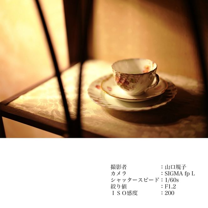 SIGMA 50mm F1.2 DG DN | Art【Lマウント】（数量限定）カメラ レンズ 家電 単焦点