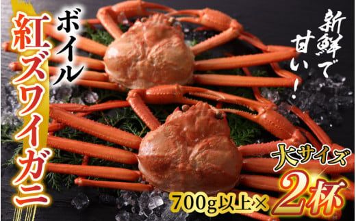 [先行予約]ボイル紅ズワイガニ 大サイズ 冷蔵配送[(株)川村水産]※発送前に在宅確認の電話連絡をいたします![25年度9月下旬以降順次配送]