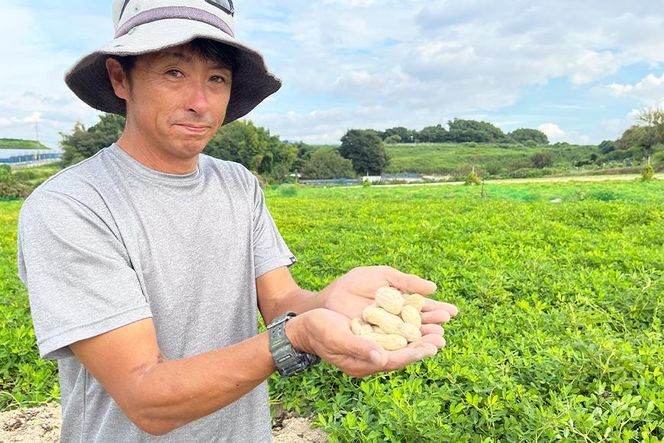 ＜10月より発送＞【朝採り】新・奇跡のジャンボ生落花生「たかや１号」約２kg 232238_BQ01-PR