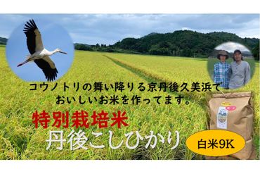 【定期便】白米９K×６か月　京丹後久美浜産　特別栽培米こしひかり KU00031