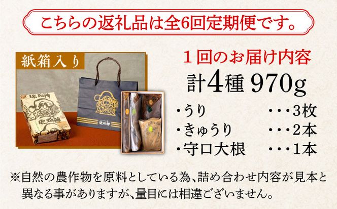 【全6回定期便】奈良漬 「琥珀漬」紙箱入り 970g【明治神宮ご奉献品】《築上町》【有限会社奈良漬さろん安部】奈良漬 奈良漬け ギフト 贈り物 贈答[ABAE050]