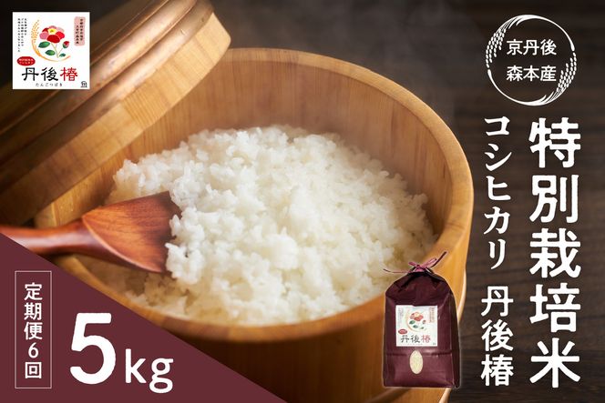 令和6年産 特別栽培米コシヒカリ 丹後椿（京丹後森本産） 5kg【定期便6回】　AG00011