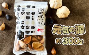 元気の源　黒にんにく　約300g [No.499]