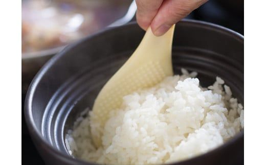 【令和６年産】 宮崎県産こしひかり「シタギリ米」5kg 【米 お米 白米 精米 国産 宮崎県産 こしひかり おにぎり】 [D04201]