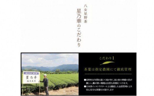 【E-051】八女星野茶 星乃翁 伝統本玉露150ｇ 特上煎茶150ｇ