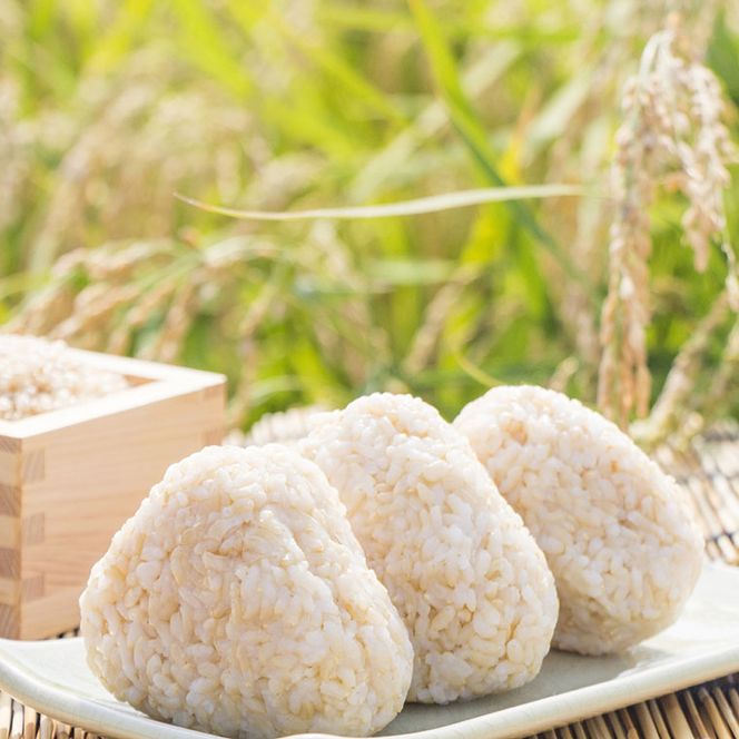 ななひかり米 3kg 【 無洗米 】 米 こしひかり コシヒカリ こめ コメ ご飯 ごはん 茨城県 八千代町 12000円 [AR001ya]