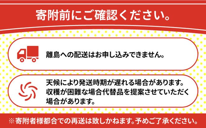 【2025年1月〜発送】【旬の 食べ比べ】柑橘（みかん）セット 約 6kg（3kg×2箱） / みかん 南島原市 / 長崎県農産品流通合同会社 [SCB041]