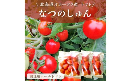 北海道オホーツク産 トマト『なつのしゅん』3kg 調理用ホールトマト ( 野菜 トマト 調理用 )【100-0004】