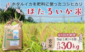 【訳あり】ほたるいか米（玄米５kg）×6回 計30kg【6ヶ月定期便】