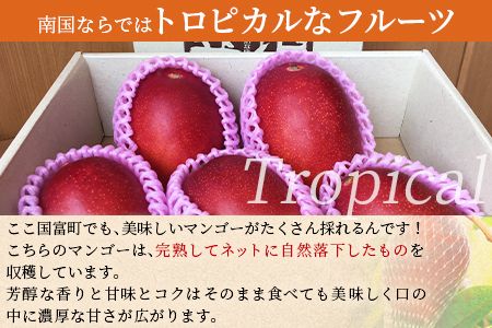 ＜宮崎特産！国富町産の完熟マンゴー 3～7玉（約1.5kg）＞2026年3月下旬～6月下旬迄に順次出荷【a0591_as】