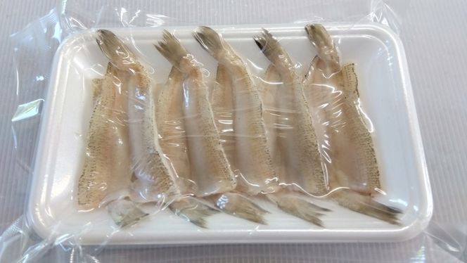 鮮度抜群！お魚おまかせ食べきり６パック・下処理加工してあるので解凍してすぐに調理できます。 ※着日指定不可 ※北海道・沖縄・離島への配送不可◇