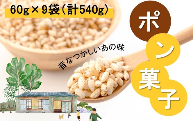 y啪sẑȂ̃|َq 60g×9 v540g_2384R