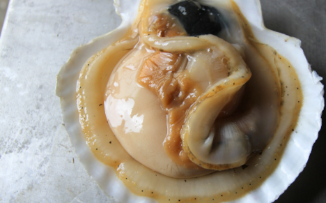 オホーツク産 冷凍ボイル子持ちほたて15～18個 SRMN018