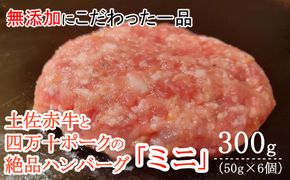 ハンバーガー屋の本気ミニハンバーグ300ｇ（50ｇ×6個） ＜ 国産 高知県産 牛肉 豚肉 ブランド肉 希少 土佐あかうし 四万十ポーク ＞sd016