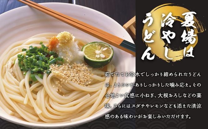 A-58 瀬戸の 天日干しうどん 乾麺 うどん 小山製麺《45日以内に出荷予定(土日祝除く)》岡山県 笠岡市 うどん 麺---A-58---