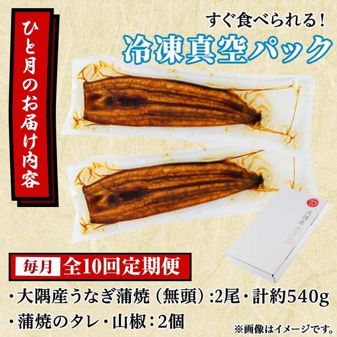 【187045】＜定期便・全10回＞東串良町のうなぎ蒲焼(無頭)(2尾・計約540g・タレ、山椒付×10回)【アクアおおすみ】