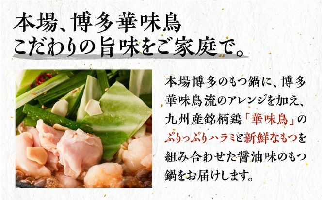 博多華味鳥 博多もつ鍋 鶏はらみ セット 3~4人前 《築上町》【トリゼンフーズ】博多 福岡 鍋 鶏 もつ もつ鍋[ABCN004]