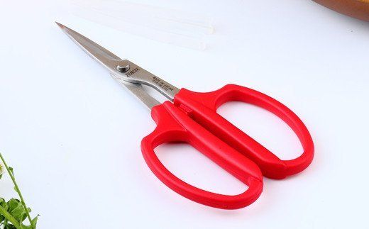 H8-120 花ハサミ 花キール TDG-5