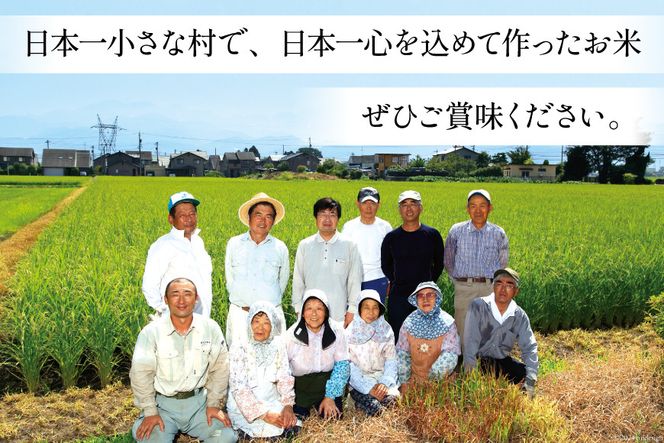 【6ヶ月定期便】【一等米100％】ばんどり米（コシヒカリ）玄米 10kg [農事組合法人東和 富山県 舟橋村 57050230]お米 美味しい こしひかり 富山 農家