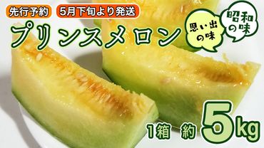 【 先行予約 5月下旬 以降発送 】【 令和6年産 】【 農家直送 】【 昭和の大衆メロン 】 プリンスメロン 1箱 約 5kg （ 7～8玉 入り） [AX020ya]