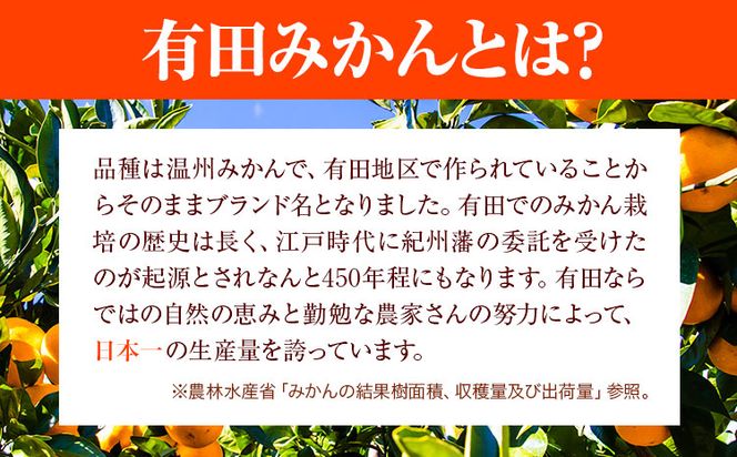 みかん 完熟有田みかん 約 3kg  有田マルシェ《11月下旬-1月上旬頃出荷予定》 和歌山県 日高町 みかん 有田 みかん 柑橘 フルーツ 完熟 ミカン 蜜柑 送料無料---wsh_arm10_h111_23_7000_3kg---