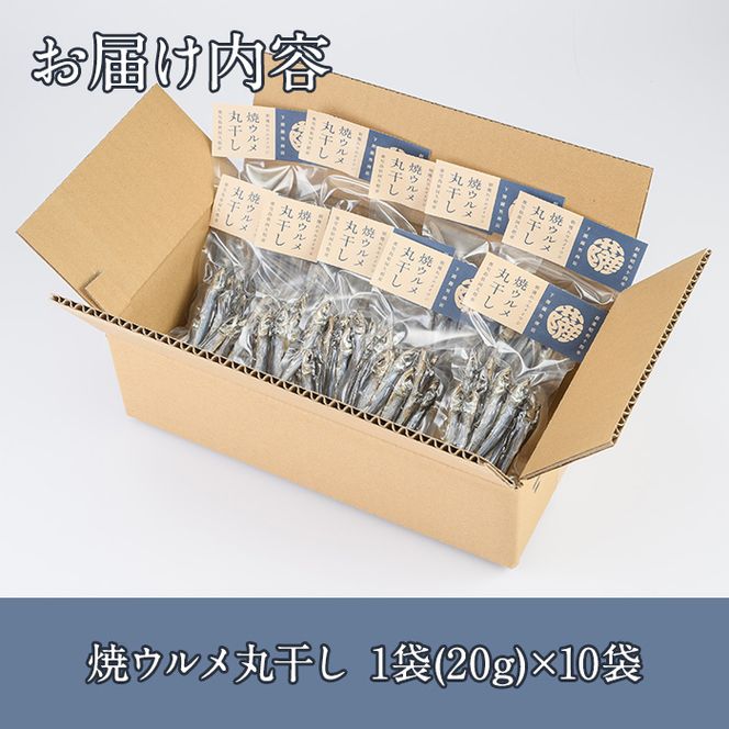焼ウルメ丸干し10袋セット(20g×10袋)海産物 いわし 鰯 ウルメイワシ おつまみ おかず【下園薩男商店】akn086-07