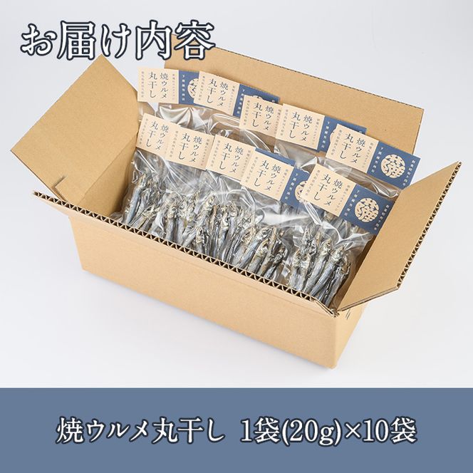 焼ウルメ丸干し10袋セット(20g×10袋)海産物 いわし 鰯 ウルメイワシ おつまみ おかず【下園薩男商店】a-16-38