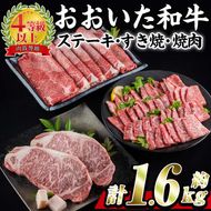 おおいた 和牛 3種 セット (合計1.66kg・サーロインステーキ180g×2枚・ウデ肉700g・焼肉300g×2P) 国産 豊後牛 BBQ 赤身 バーベキュー 惣菜 やきにく おかず 百年の恵み 【BD186】【西日本畜産 (株)】