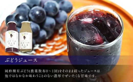 幸田町産 ぶどう使用(無添加、無糖、無加水)100% ジュース2本 ジャム(90g)4本 詰め合わせ ぶどうジュース ぶどうジャム
