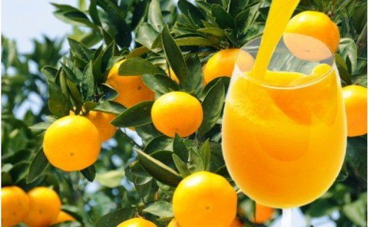 有田みかん果汁100％　無添加ストレートジュース（720ml×2本セット）