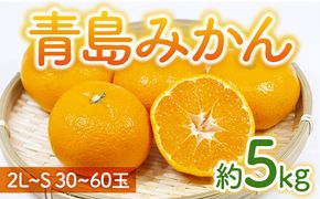 【2025年1月~順次発送】　青島みかん 約5㎏ AG09