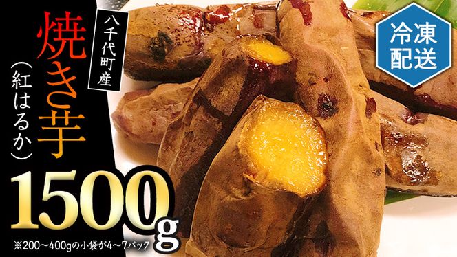 冷凍 焼き芋 ( 紅はるか ) 1.5kg サツマイモ さつまいも イモ いも 国産 食物繊維 スイーツ おやつ 小分け 茨城県産 [AU022ya]