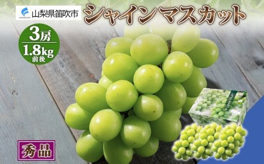＜25年発送先行予約＞シャインマスカット 3房 1.8kg前後※クール便配送 177-010