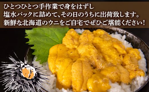【令和8年度発送先行予約】うに 塩水 ムラサキウニ 80g 北海道 豊浦 噴火湾 雲丹【配送不可地域：離島】 TYUR020