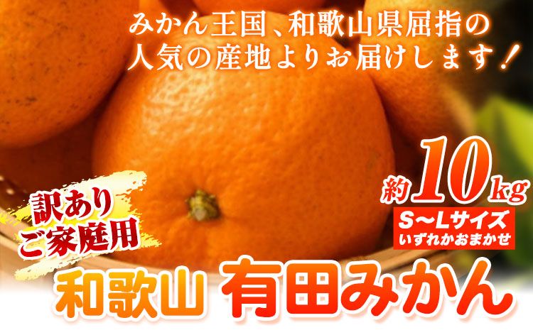 訳あり みかん 10kg 有田みかん 和歌山県産 S〜Lサイズ いずれか 厳選館 [2024年11月中旬-2月上旬出荷予定] 和歌山県 日高町 送料無料 みかん 柑橘 柑橘類 ミカン 訳ありみかん---wsh_gsk35_g112_24_13000_10kg---