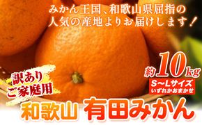 訳あり みかん 10kg 有田みかん 和歌山県産  S～Lサイズ いずれか 厳選館 《2024年11月中旬-2月上旬出荷予定》 和歌山県 日高町 送料無料 みかん 柑橘 柑橘類 ミカン 訳ありみかん---wsh_gsk35_g112_24_13000_10kg---