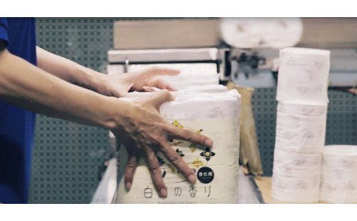 四国特紙　トイレットペーパー　プレミアムセット