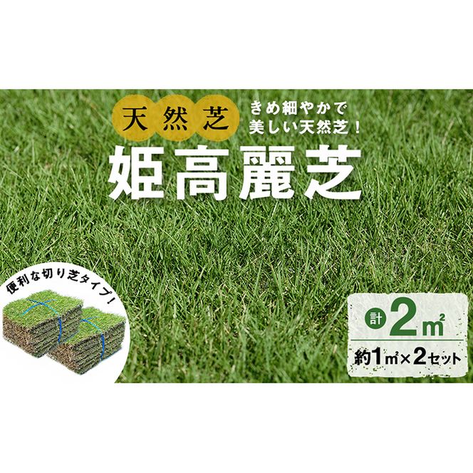 ＜先行予約受付中！R7年1月頃配送予定＞鹿児島県産＜天然芝＞姫高麗芝 2平米(約1平米×2セット) a0-339